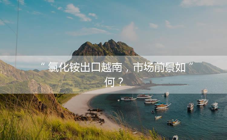 氯化銨出口越南，市場前景如何？